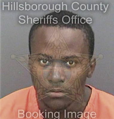 Lawrence Johnson, - Hillsborough County, FL 