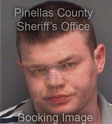 Anthony Lecointe, - Pinellas County, FL 