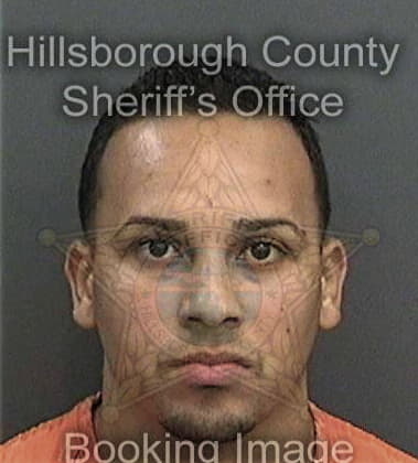 Alvis Masis, - Hillsborough County, FL 