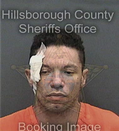 Andy Ramirez-Maribal, - Hillsborough County, FL 