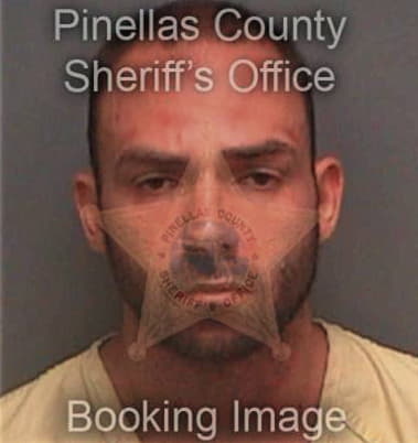 Daniel Seamon, - Pinellas County, FL 