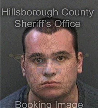 Ricardo Sosa-Tellez, - Hillsborough County, FL 