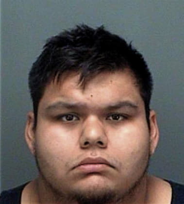 Juan Diaz, - Pinellas County, FL 