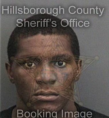 William Matthews - Hillsborough County, FL 