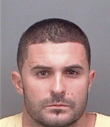 Sean McCarthy - Pinellas County, FL 
