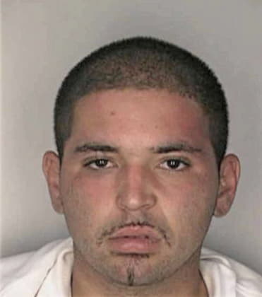 Raul Reyesvaldez, - Hillsborough County, FL 