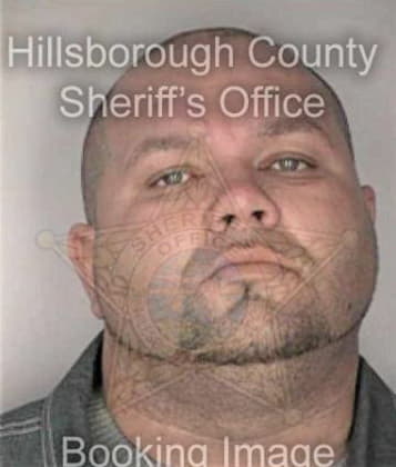 Jorge Alvardoalvate, - Hillsborough County, FL 