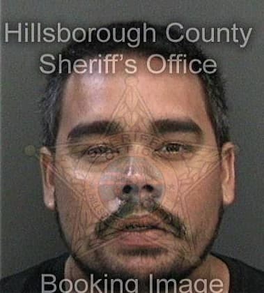 Noe Andrade, - Hillsborough County, FL 