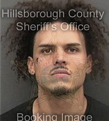 David Chamberlain, - Hillsborough County, FL 