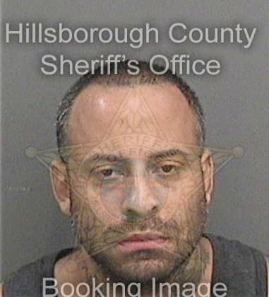 Mark Garcia, - Hillsborough County, FL 