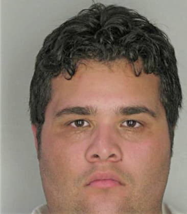 Jose Gonzaleznahuaca - Hillsborough County, FL 