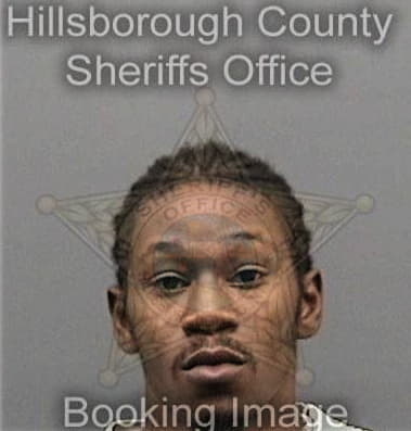 Devonshae Hill, - Hillsborough County, FL 