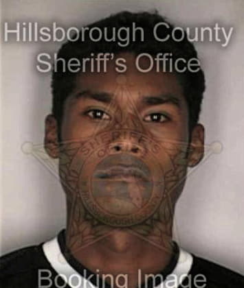Harley McKahan - Hillsborough County, FL 