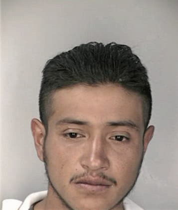 Aguilar Mendoza - Hillsborough County, FL 
