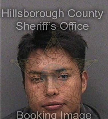 Rodrigo Mendoza-Quintanilla - Hillsborough County, FL 