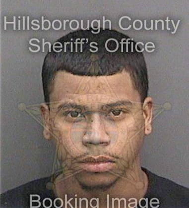 David Bellamy - Hillsborough County, FL 