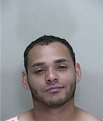 Enrique Borja-Antunes, - Marion County, FL 