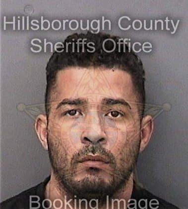 Robert Comellas, - Hillsborough County, FL 