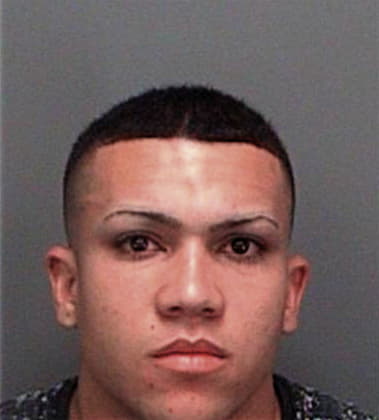 Jose Garcia, - Pinellas County, FL 