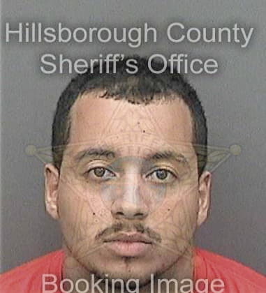 Erik Gritzinger, - Hillsborough County, FL 