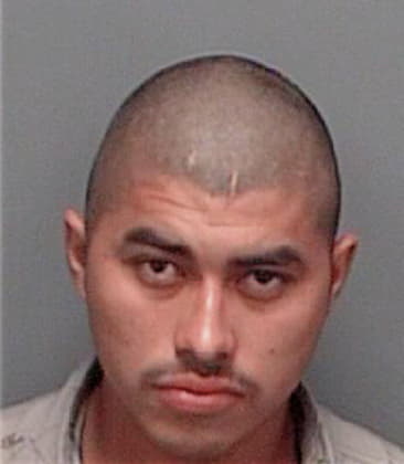 Jose Riosvasquez, - Pinellas County, FL 