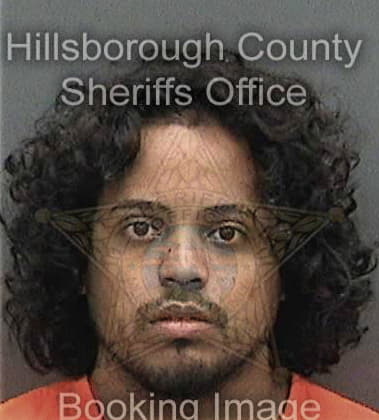 Maiyordan Suarezmoraz, - Hillsborough County, FL 