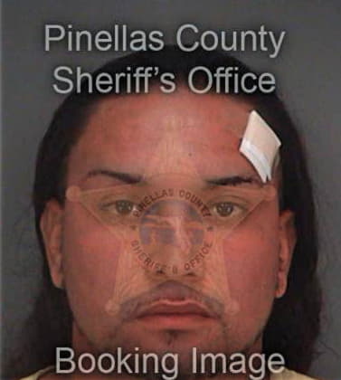 Jose Velasquezrodriguez, - Pinellas County, FL 