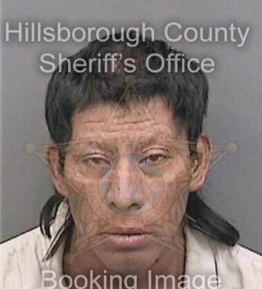 Michael Wise, - Hillsborough County, FL 