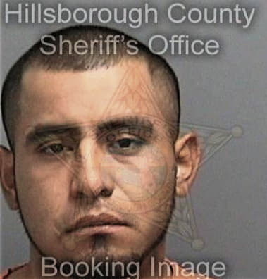 Rene Alvarezlopez, - Hillsborough County, FL 