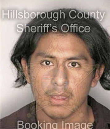 Mario Castano, - Hillsborough County, FL 