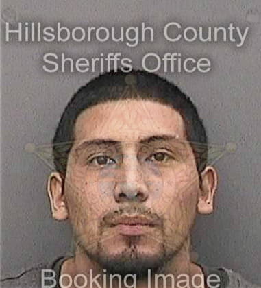 David Cohen - Hillsborough County, FL 