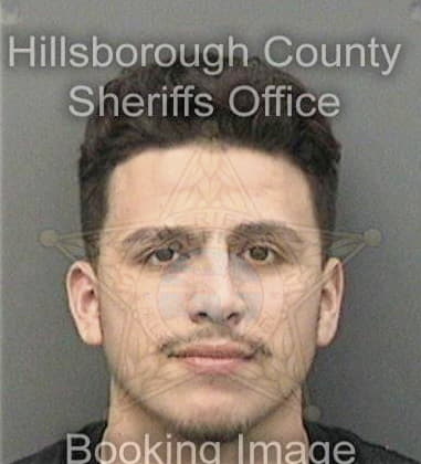 Orlando Comingsgarcia, - Hillsborough County, FL 