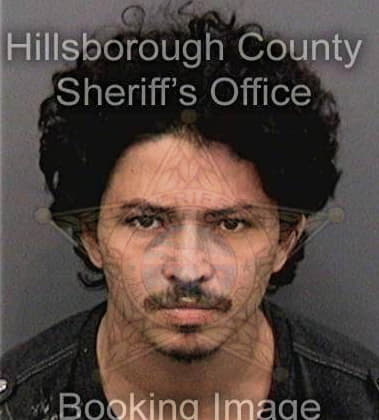 Angel Garciariquiz, - Hillsborough County, FL 