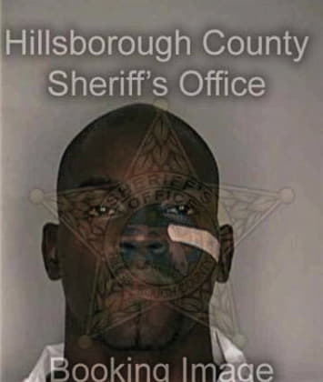 Ronald McCall - Hillsborough County, FL 