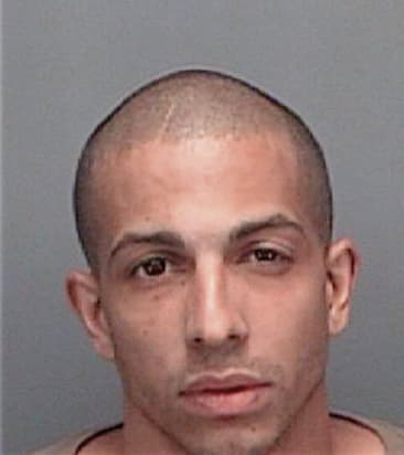 Rene Ochoa, - Pinellas County, FL 