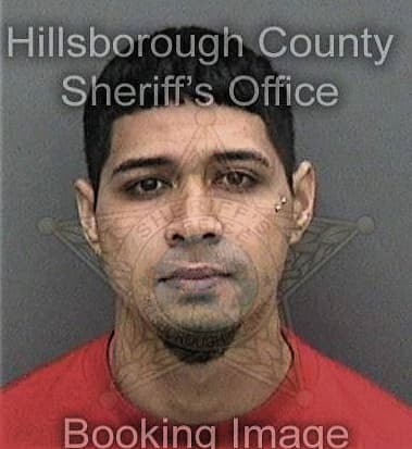 Vladimir Rodriguezgarcia, - Hillsborough County, FL 