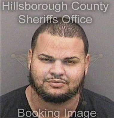 Daniel Santiago, - Hillsborough County, FL 