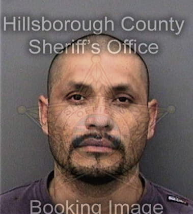 Jonathan Torreslopez, - Hillsborough County, FL 