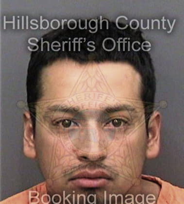 Michael Korman, - Hillsborough County, FL 