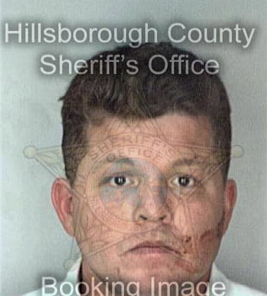 Ray Perezgrimaldo, - Hillsborough County, FL 