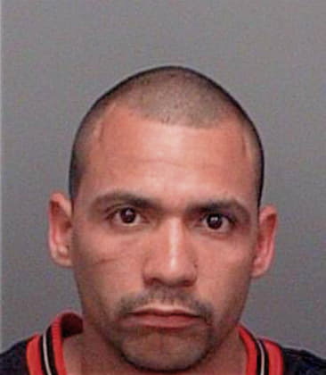 Apostolos Skordas - Pinellas County, FL 