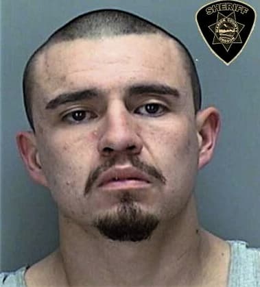 Guillermo Valadez-Bravo, - Marion County, OR 