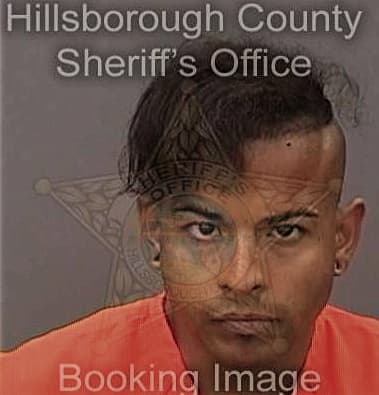 Luis Castrogarrastegui, - Hillsborough County, FL 