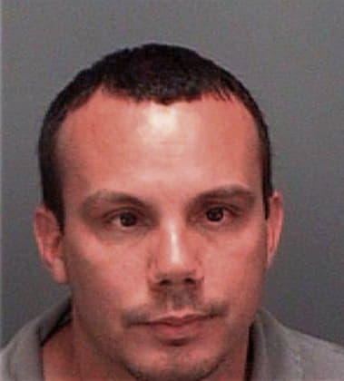 Paulino Espinozasoto, - Pinellas County, FL 