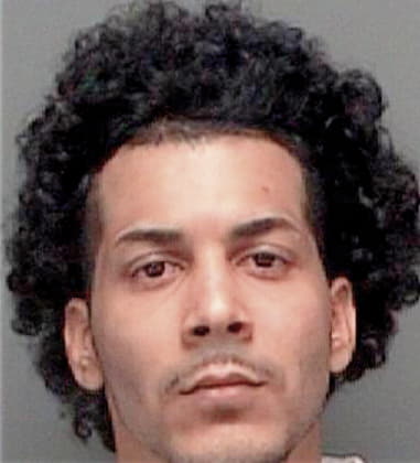 Javier Hernandez, - Pinellas County, FL 