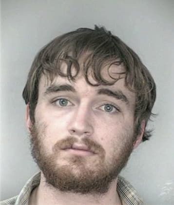Luis Herrera - Hillsborough County, FL 