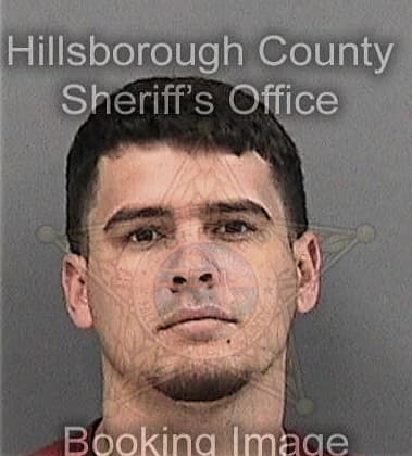 William McDougal - Hillsborough County, FL 