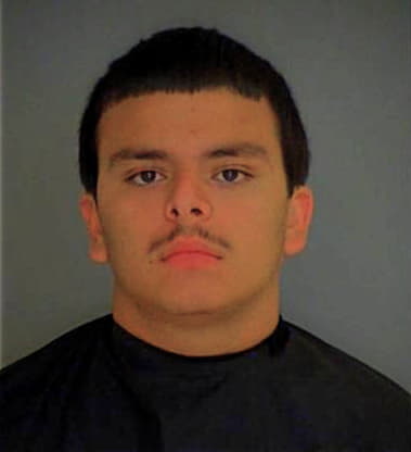 David Mendoza-Alejo, - Bastrop County, TX 