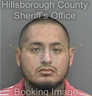 Armando Ramirezgarcia, - Hillsborough County, FL 