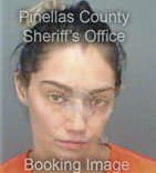 Mahassen Soltan - Pinellas County, FL 